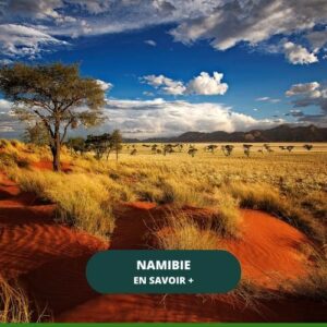 NAMIBIE DESERT DUNES 